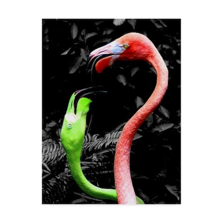 Dana Brett Munach 'Flamingos Pink And Green' Canvas Art,24x32